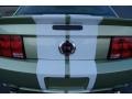 2006 Legend Lime Metallic Ford Mustang GT Premium Coupe  photo #16