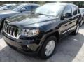 2013 Black Forest Green Pearl Jeep Grand Cherokee Laredo 4x4  photo #1