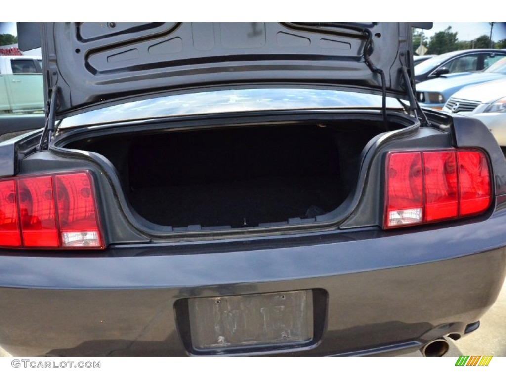 2007 Mustang V6 Deluxe Coupe - Alloy Metallic / Dark Charcoal photo #17