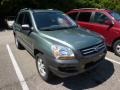 Royal Jade Green Metallic - Sportage LX V6 4x4 Photo No. 1