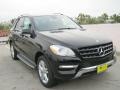 Black - ML 350 4Matic Photo No. 1