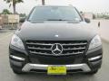 Black - ML 350 4Matic Photo No. 2