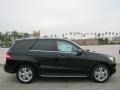 Black - ML 350 4Matic Photo No. 3
