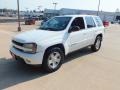 2002 Summit White Chevrolet TrailBlazer LTZ  photo #8