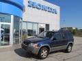 True Blue Metallic 2002 Ford Escape XLT V6