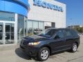 Pacific Blue Pearl 2010 Hyundai Santa Fe GLS 4WD