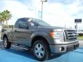 Sterling Grey Metallic - F150 STX Regular Cab Photo No. 7