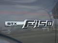 Sterling Grey Metallic - F150 STX Regular Cab Photo No. 9
