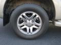 2004 Phantom Gray Pearl Toyota Sequoia SR5 4x4  photo #9