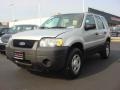 2005 Silver Metallic Ford Escape XLS  photo #4