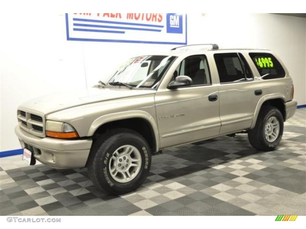 2001 Durango SLT 4x4 - Light Pewter Metallic / Taupe photo #2