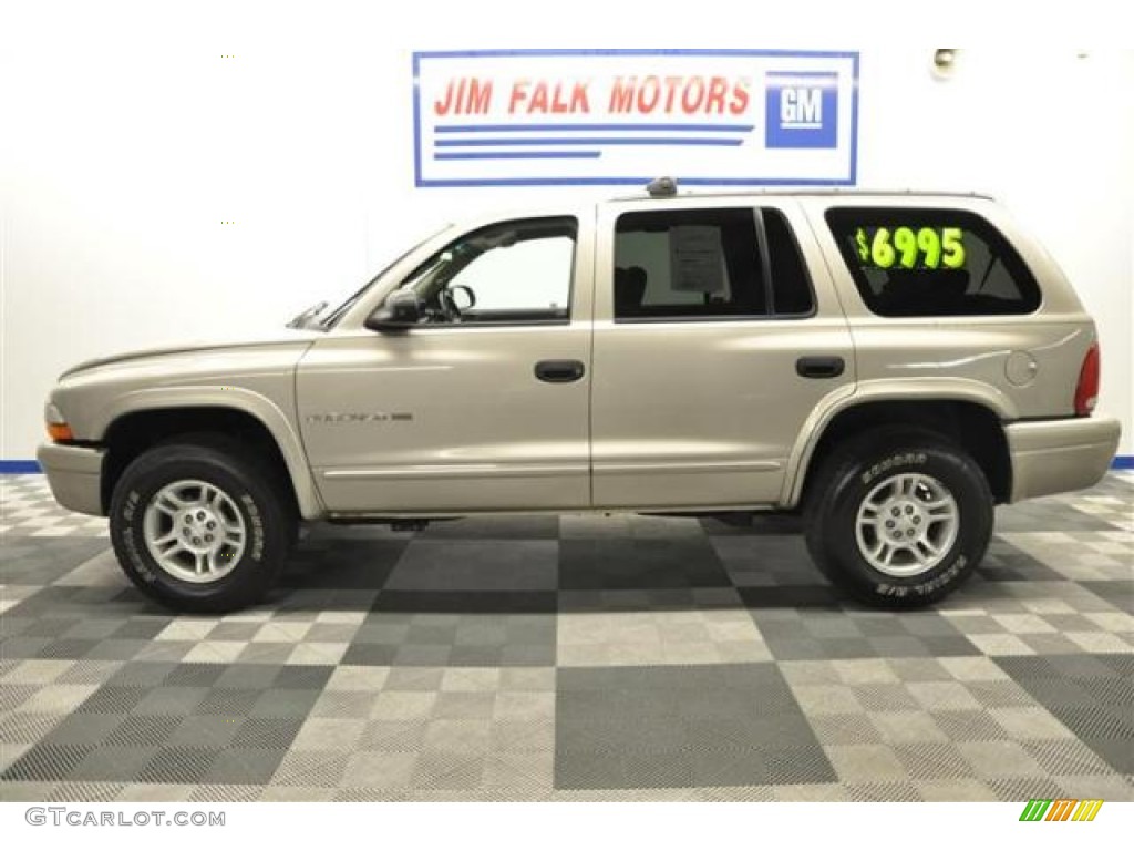 2001 Durango SLT 4x4 - Light Pewter Metallic / Taupe photo #3