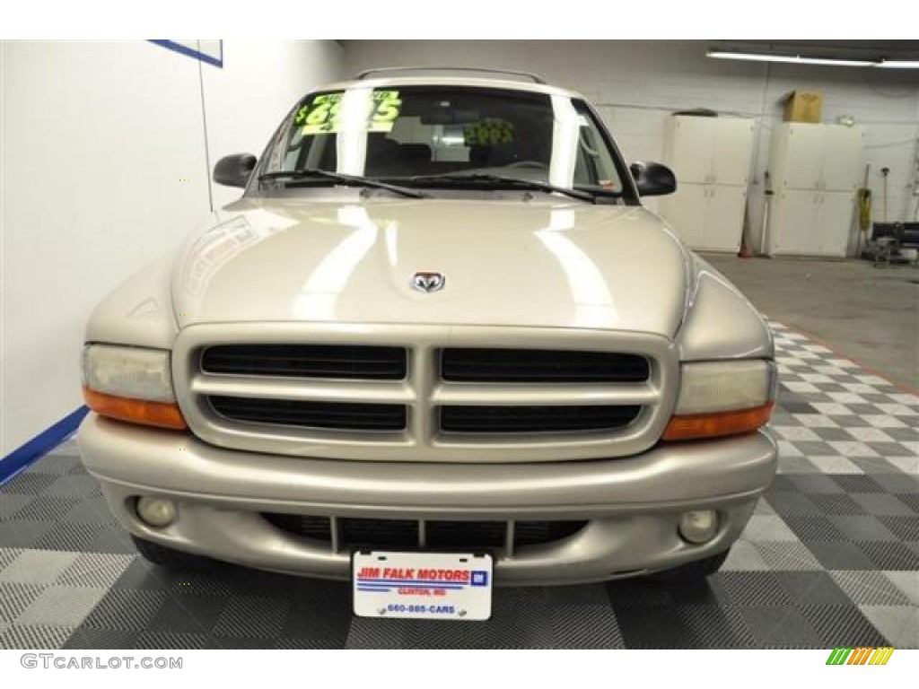 2001 Durango SLT 4x4 - Light Pewter Metallic / Taupe photo #4