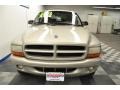 Light Pewter Metallic - Durango SLT 4x4 Photo No. 4