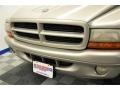 Light Pewter Metallic - Durango SLT 4x4 Photo No. 5