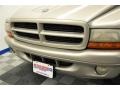 2001 Light Pewter Metallic Dodge Durango SLT 4x4  photo #5