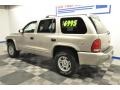 Light Pewter Metallic - Durango SLT 4x4 Photo No. 6