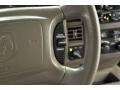 Light Pewter Metallic - Durango SLT 4x4 Photo No. 16
