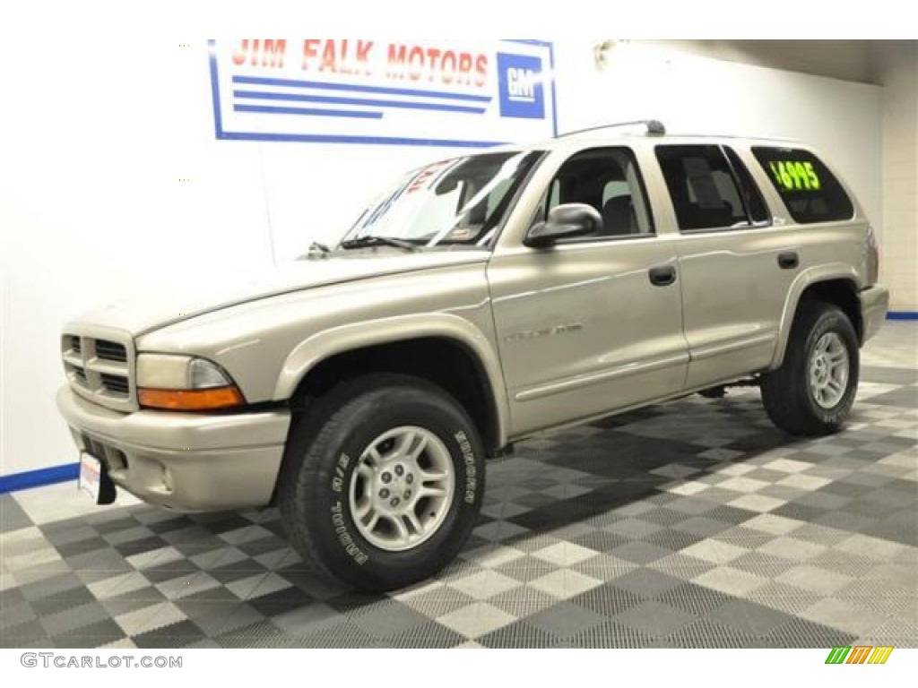 2001 Durango SLT 4x4 - Light Pewter Metallic / Taupe photo #28