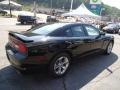Pitch Black - Charger SE Photo No. 5