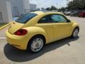 Yellow Rush - Beetle 2.5L Photo No. 7