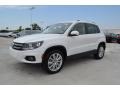 Candy White - Tiguan SE Photo No. 1