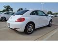 Candy White - Beetle 2.5L Photo No. 2