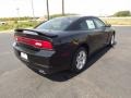 Pitch Black - Charger SE Photo No. 5
