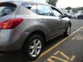 2009 Platinum Graphite Metallic Nissan Murano S AWD  photo #6