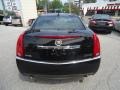 Black Raven - CTS 3.0 Sedan Photo No. 7