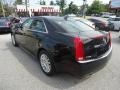 Black Raven - CTS 3.0 Sedan Photo No. 8