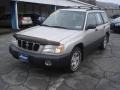 Silverthorn Metallic - Forester 2.5 L Photo No. 13