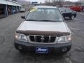 Silverthorn Metallic - Forester 2.5 L Photo No. 14
