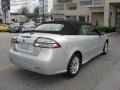 Snow Silver Metallic - 9-3 2.0T Convertible Photo No. 8