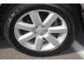 2009 Harvest Gold Metallic Subaru Outback 2.5i Special Edition Wagon  photo #22