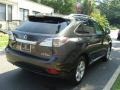 Truffle Brown Mica - RX 350 AWD Photo No. 4