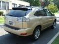 2009 Golden Almond Metallic Lexus RX 350 AWD  photo #4