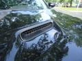 Pitch Black - Challenger SRT8 392 Photo No. 13