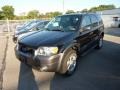 2006 Black Ford Escape XLT V6 4WD  photo #3