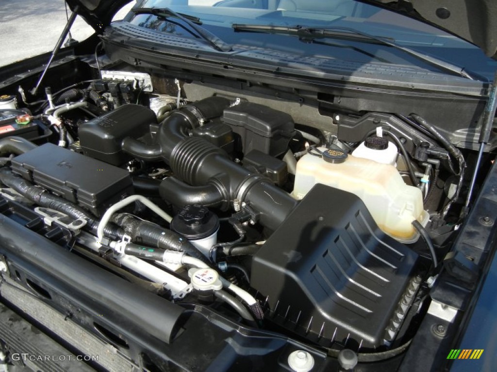 2010 Ford F150 Platinum SuperCrew 4x4 5.4 Liter Flex-Fuel SOHC 24-Valve VVT Triton V8 Engine Photo #69793582