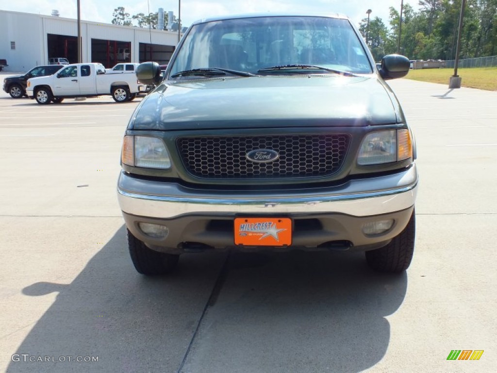 2001 F150 King Ranch SuperCrew 4x4 - Estate Green Metallic / Castano Brown Leather photo #10
