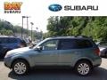 Sage Green Metallic - Forester 2.5 X Premium Photo No. 1