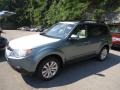 Sage Green Metallic - Forester 2.5 X Premium Photo No. 6