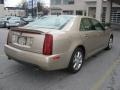 2005 Sand Storm Cadillac STS V8  photo #6