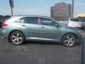 Aloe Green Metallic - Venza V6 Photo No. 2