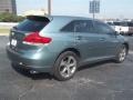 2010 Aloe Green Metallic Toyota Venza V6  photo #3