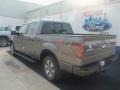 2012 Sterling Gray Metallic Ford F150 FX2 SuperCrew  photo #3