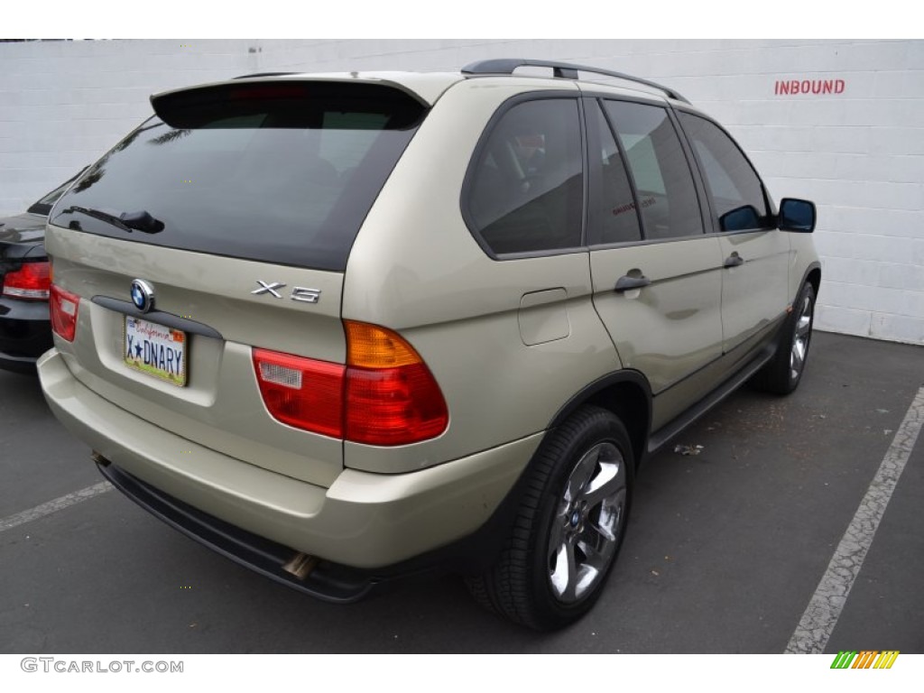 2001 X5 3.0i - Pearl Beige Metallic / Beige photo #3