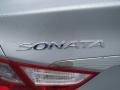 Radiant Silver - Sonata GLS Photo No. 11