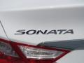 Shimmering White - Sonata GLS Photo No. 11
